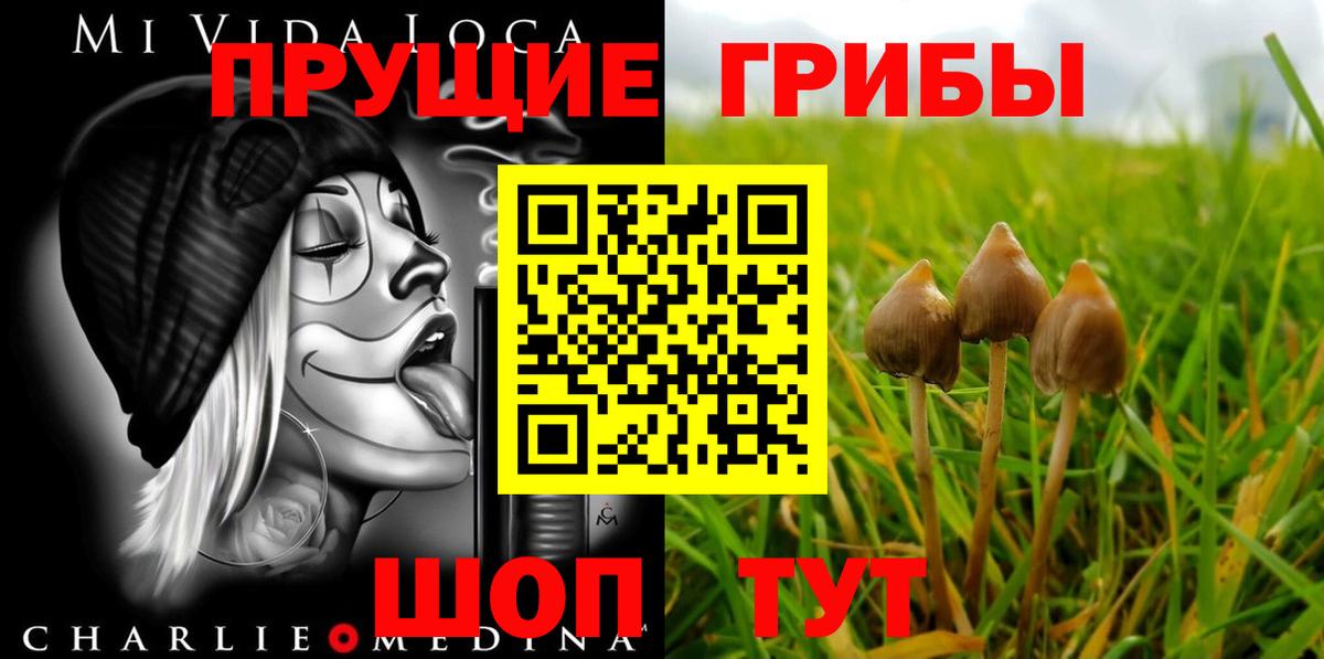 Псилоцибиновые грибы GOLDEN TEACHER  Вход с VPN  Псилоцибиновые грибы ЛСД  Бахчисарай 