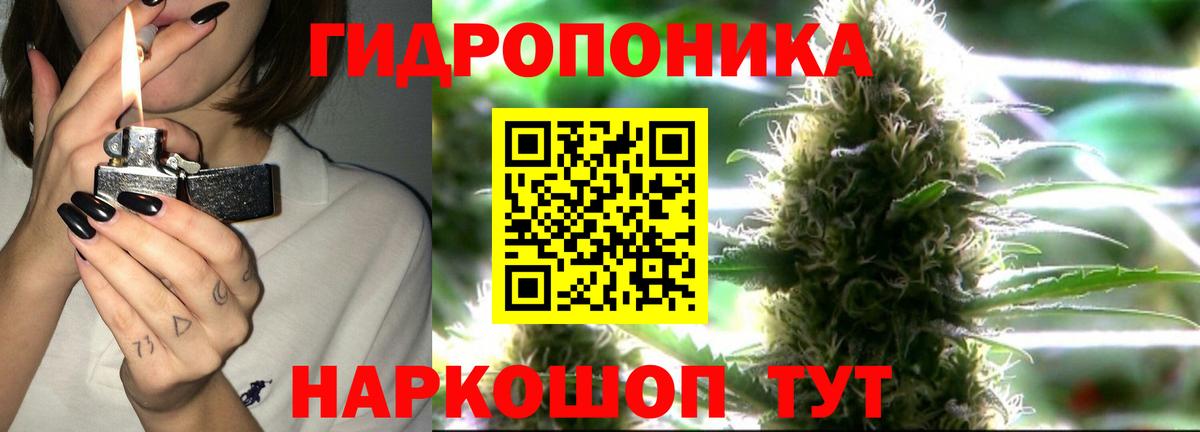 Псилоцибиновые грибы Бахчисарай